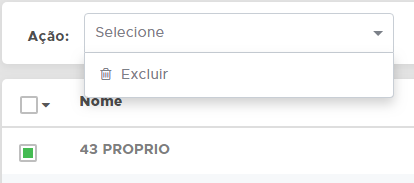 Excluir fornecedor